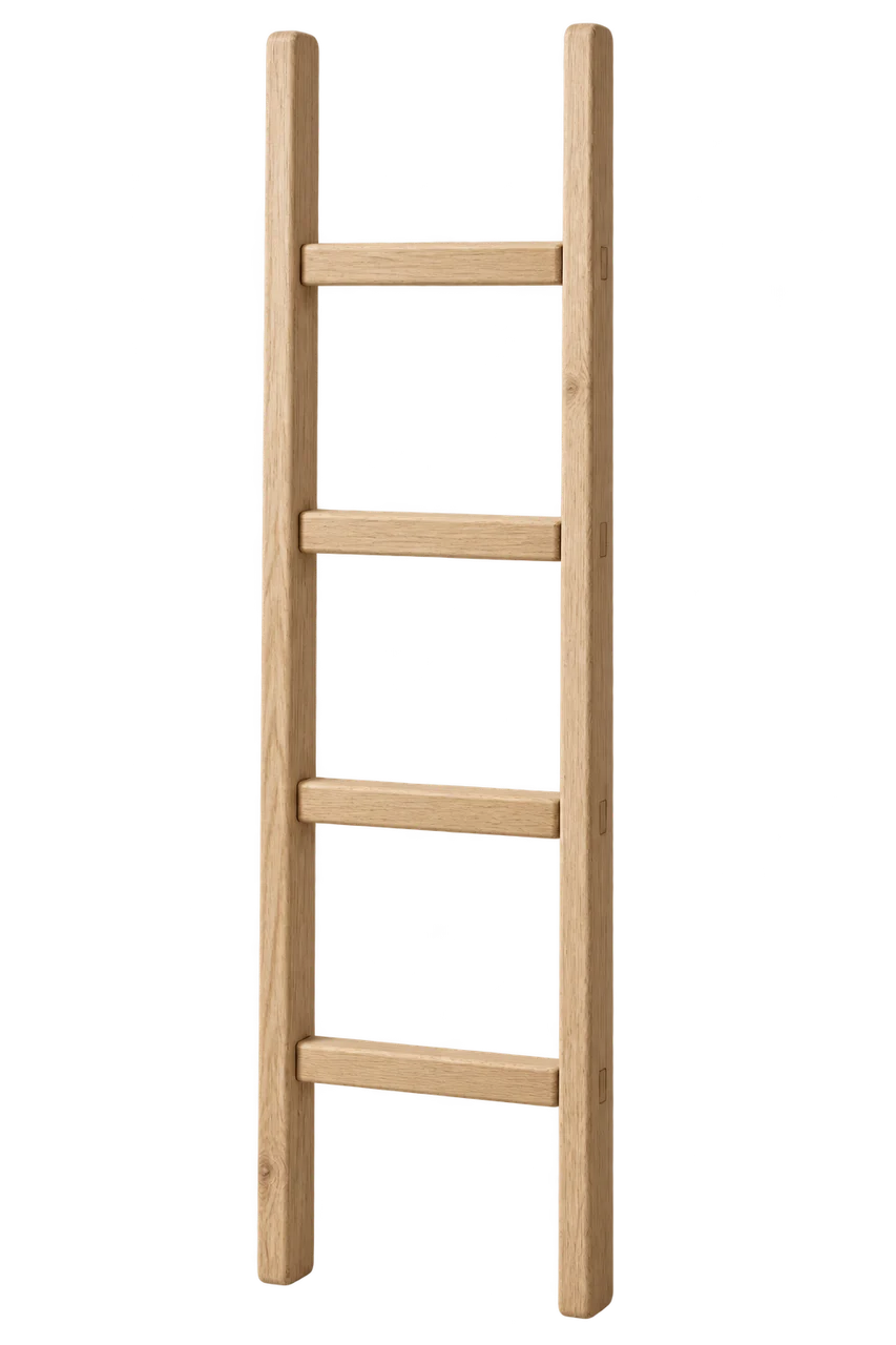 An ash-wood ladder with four rungs, tracing the chapters from public service at the bottom to building ventures at the top.